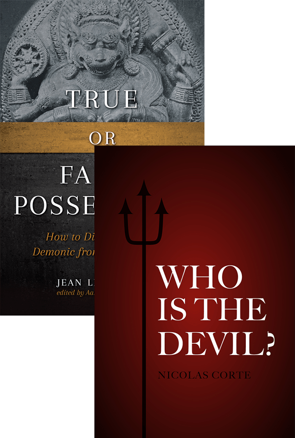 The Devil And Possession Book Cover - True And False Possession (600x891), Png Download