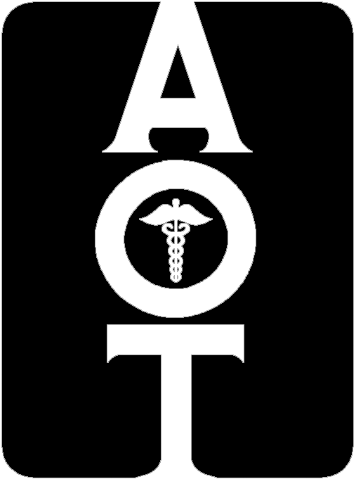 Aot Logo-transparent Letters - Delhi International School Indore (507x681), Png Download