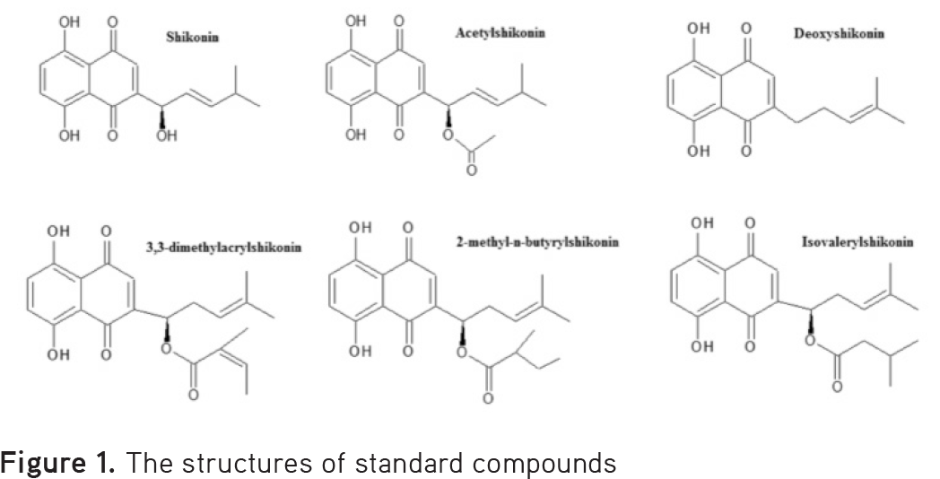 1) - - M Chlorotoluen Wzor Półstrukturalny (1078x541), Png Download