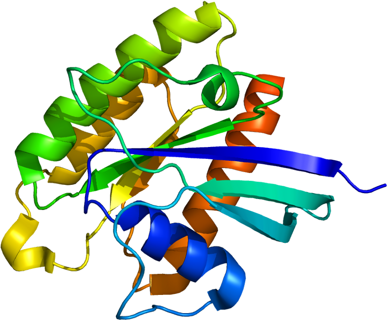 Tuberin Hamartin Complex (837x700), Png Download