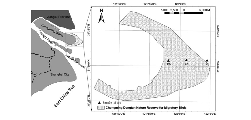 Map Of The Study Area With Sampling Sites In The Dongtan - Schwarztonnensand (850x408), Png Download
