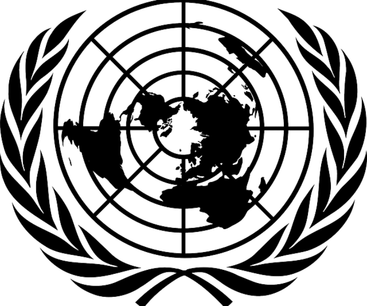 Compassion International - Universal Declaration Of Human Rights Logo (720x600), Png Download