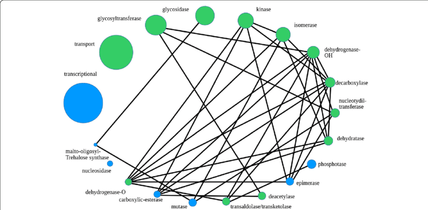 The Size Of A Bubble Corresponds To The Relative Class - Diagram (850x418), Png Download