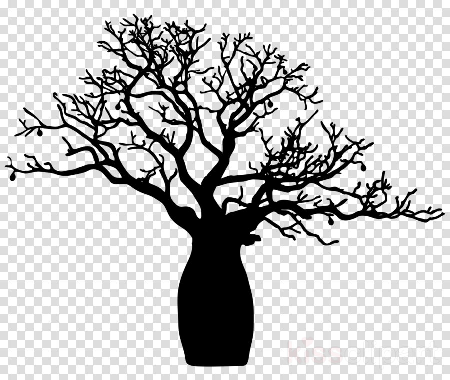Baobab Tree Png Clipart Adansonia Gregorii Tree Clip - Boab Tree Clip Art (900x760), Png Download