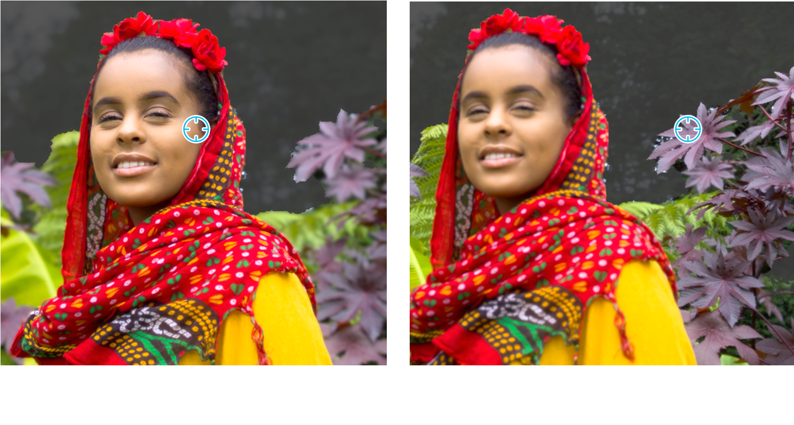 You Can Disable The Grey Shaded Mask By Unchecking - Tribe (1700x954), Png Download