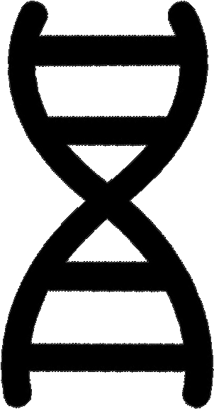 Race - Biology Simplified Ncert (626x626), Png Download