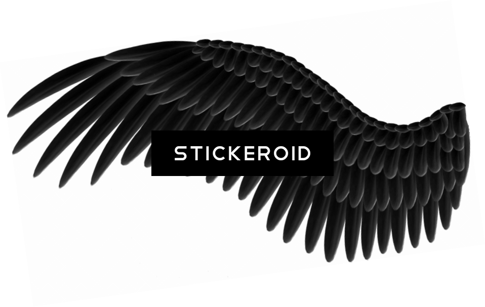 White Angel Wings - Maleficent Wings Png (958x607), Png Download