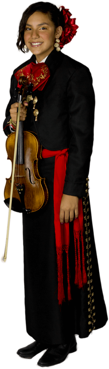 Texans One And All - Fiddle (385x1295), Png Download