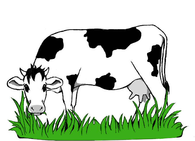 Black And White Stock Collection Of Grazing High Quality - Cow Grazing Clipart (764x581), Png Download