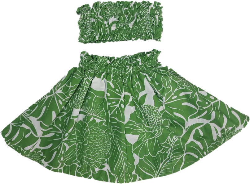 2t-3t Hula Outfit Girl Costume Skirt And Top Green/white - 2t-3t Hula Girl Outfit Costume Skirt And Top Green/white (857x640), Png Download