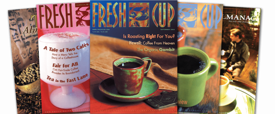 A Dig Through The Archives - Archive (894x372), Png Download