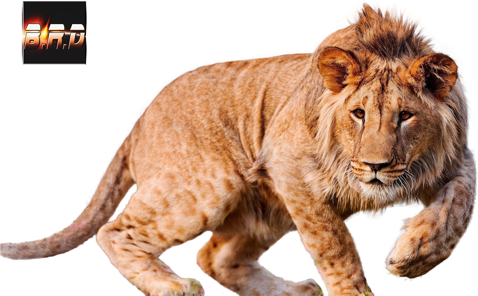 Baixar Renders Do Dimy - Lg 49uf680v - 49" Led Smart Tv - 4k Ultrahd (1600x1036), Png Download