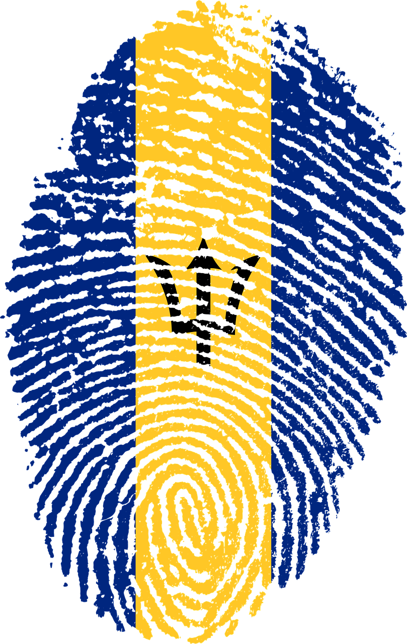 Re-pin If - Barbados Flag Fingerprint (809x1280), Png Download