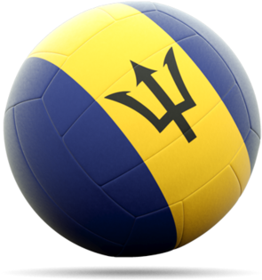 Illustration Of Flag Of Barbados - Portable Network Graphics (640x480), Png Download