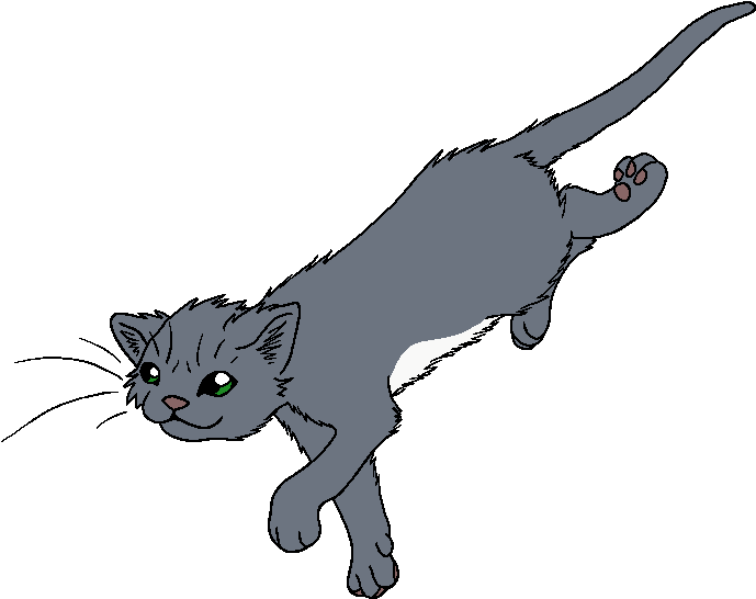 Download Duskwater Pine Needle Warriors Cats PNG Image with No