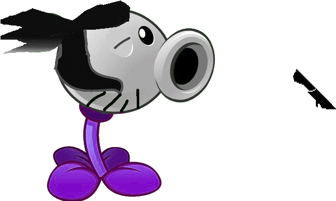 Photograph (897x446), Png Download