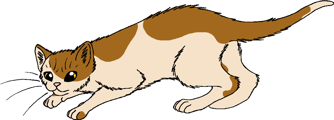 Rowanberry - Warrior Cats Rowanberry (1176x482), Png Download