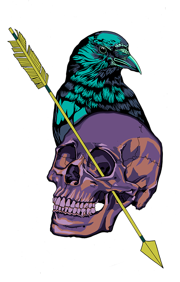Crow And Skull Illustration - Illustration (600x927), Png Download