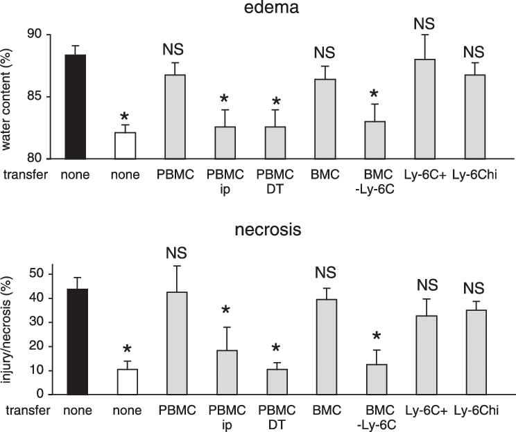 Effects Of Adoptive Transfer On Pancreatitis Severity - Diagram (744x624), Png Download