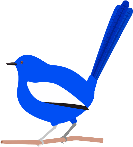 Splendid Fairywren (580x605), Png Download