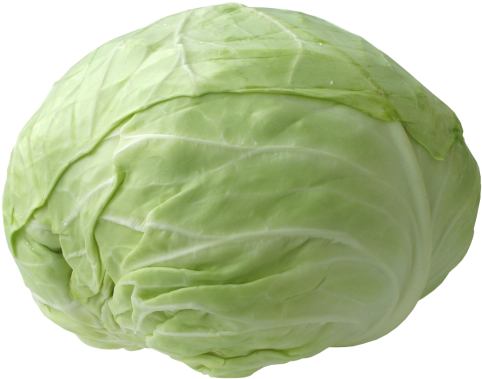 Cabbage Plan View Png Freeuse Stock - Repolho Em Png Transparente (550x650), Png Download
