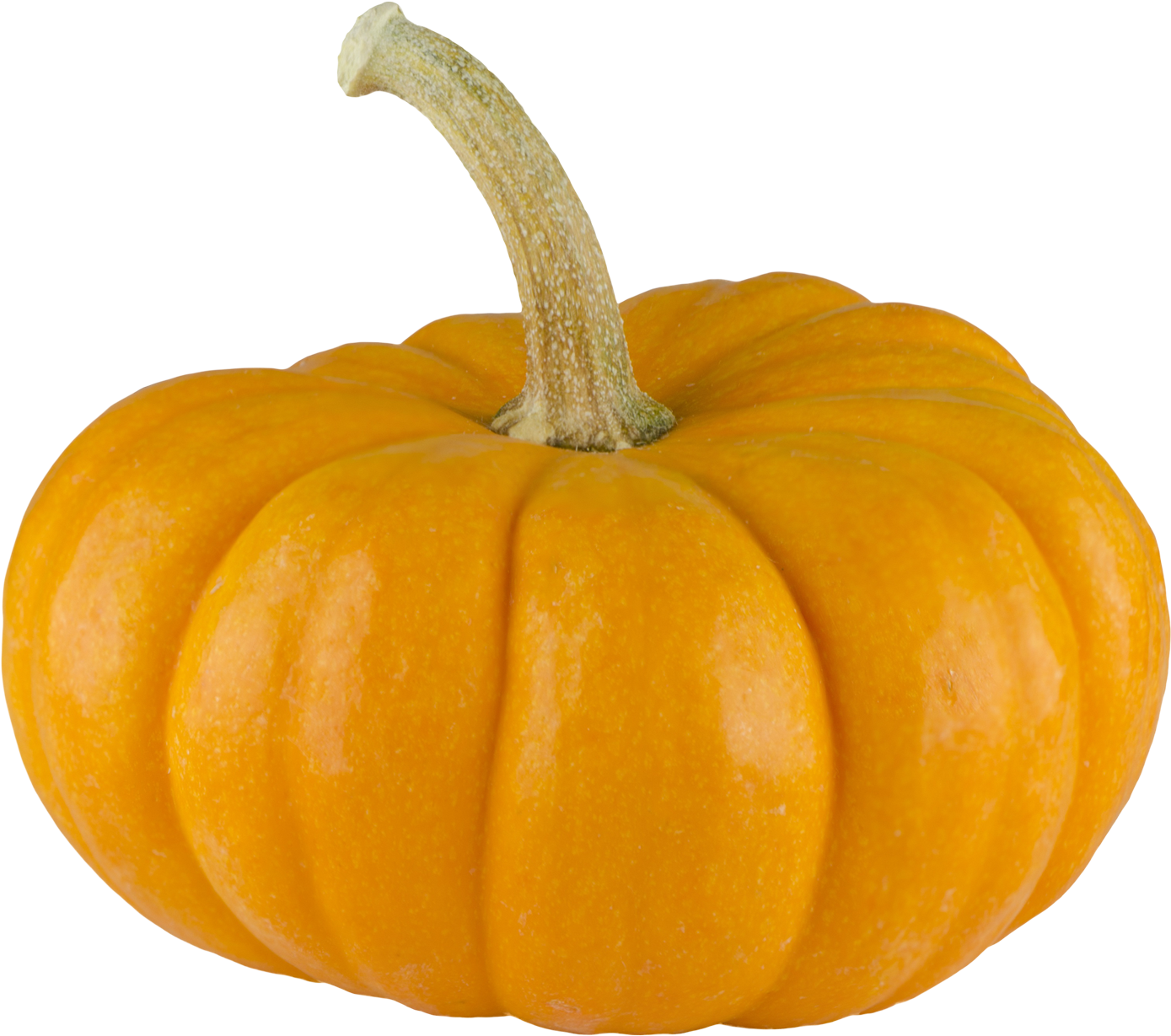 Pumpkin Png Transparent Pumpkin - Transparent Background Pumpkin Png (1557x1382), Png Download