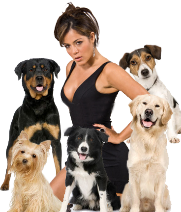 Sexy Latina And Dogs - Smartest Dog In The World (372x443), Png Download
