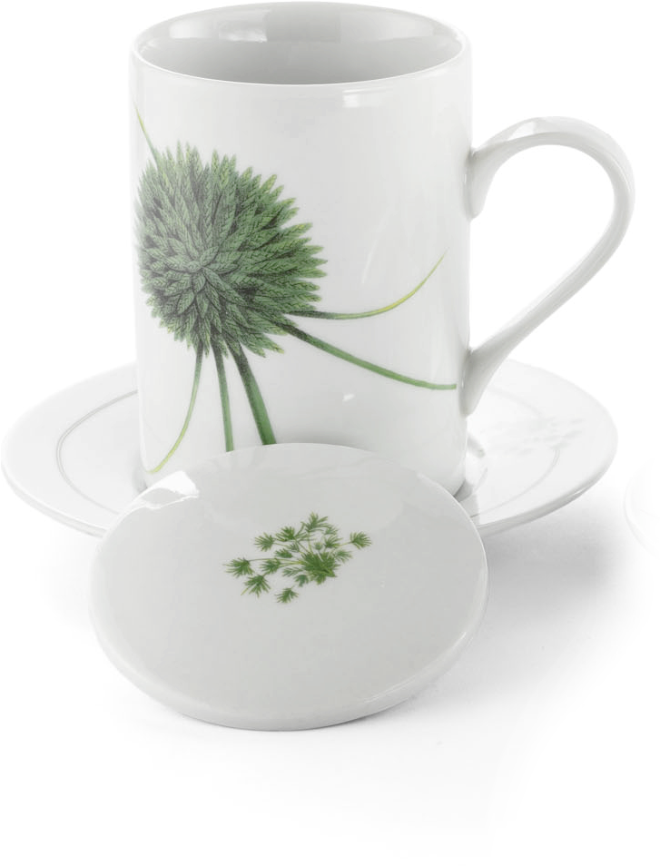 Pale Galingale Tea Cup Aboca Museum Collection - Aboca Museum (1280x1280), Png Download