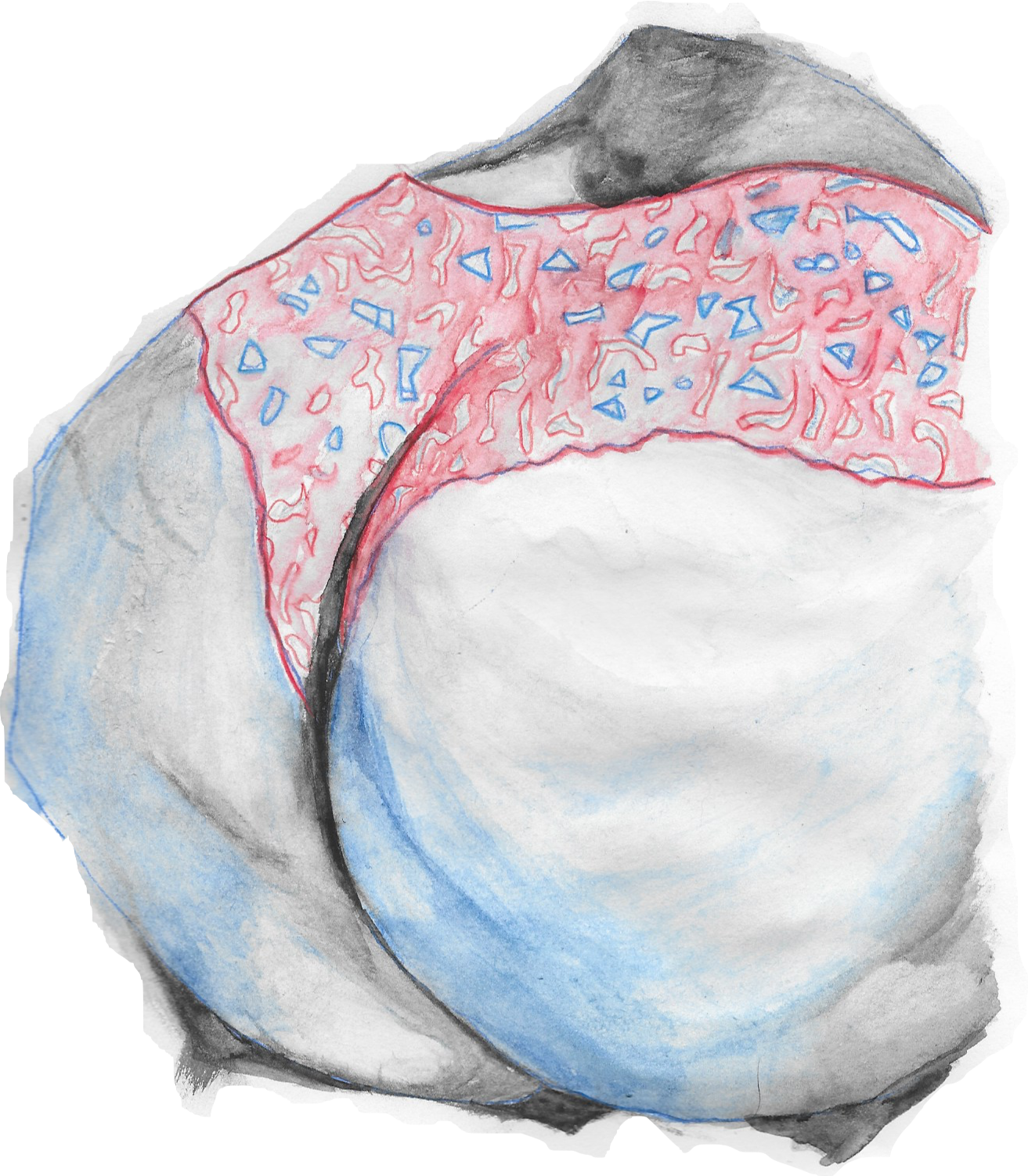 Watercolor - Sketch (1313x1503), Png Download