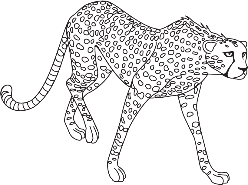 Jaguar Png Clipart - Black And White Clipart Jaguar (1050x670), Png Download