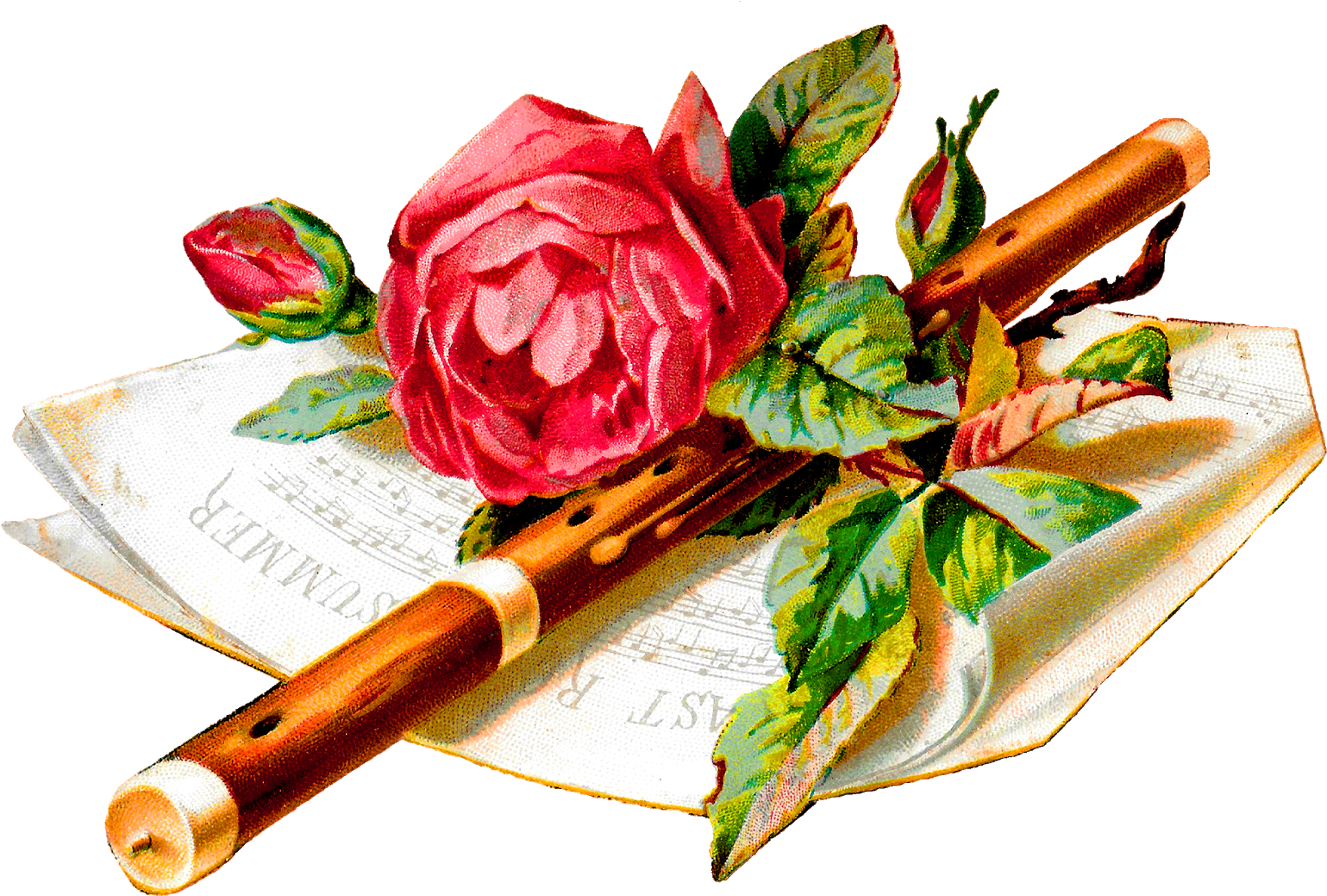 Flower Rose Music Flute Botanical Art Digital Image - Garden Roses (1600x1063), Png Download
