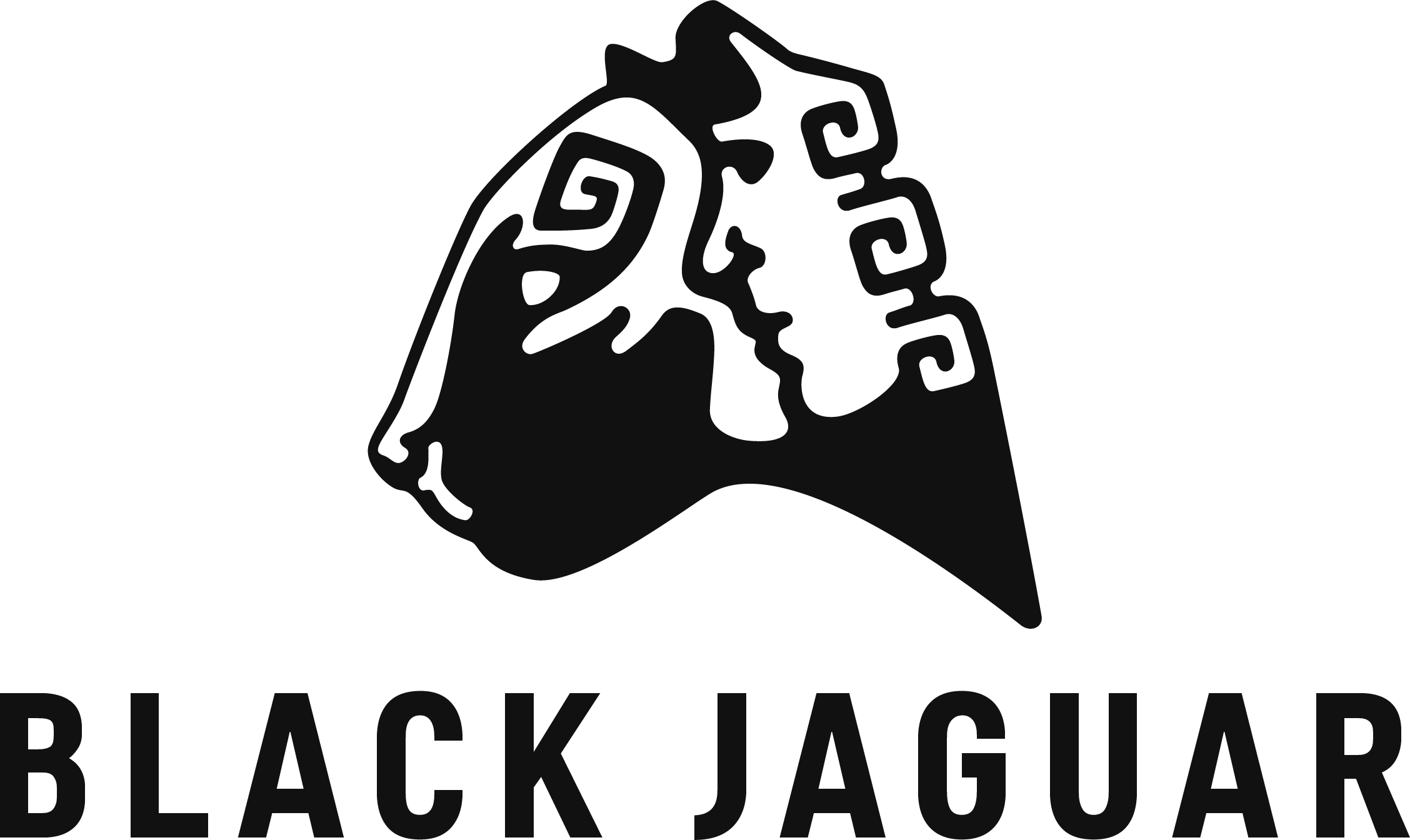 Jaguar (2256x1344), Png Download