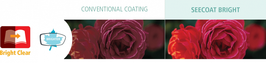 Lighting Becomes Even More Notable After The Age Of - Garden Roses (880x210), Png Download