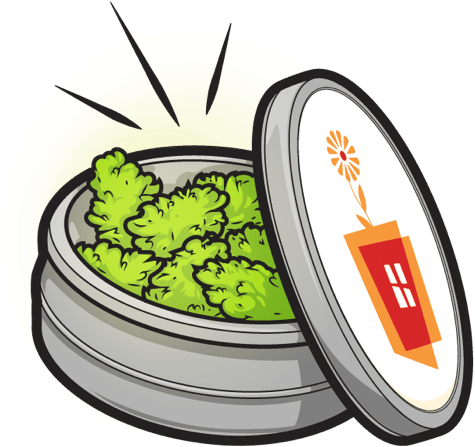 Image Courtesy Of Bloommoji - Iphone (480x480), Png Download