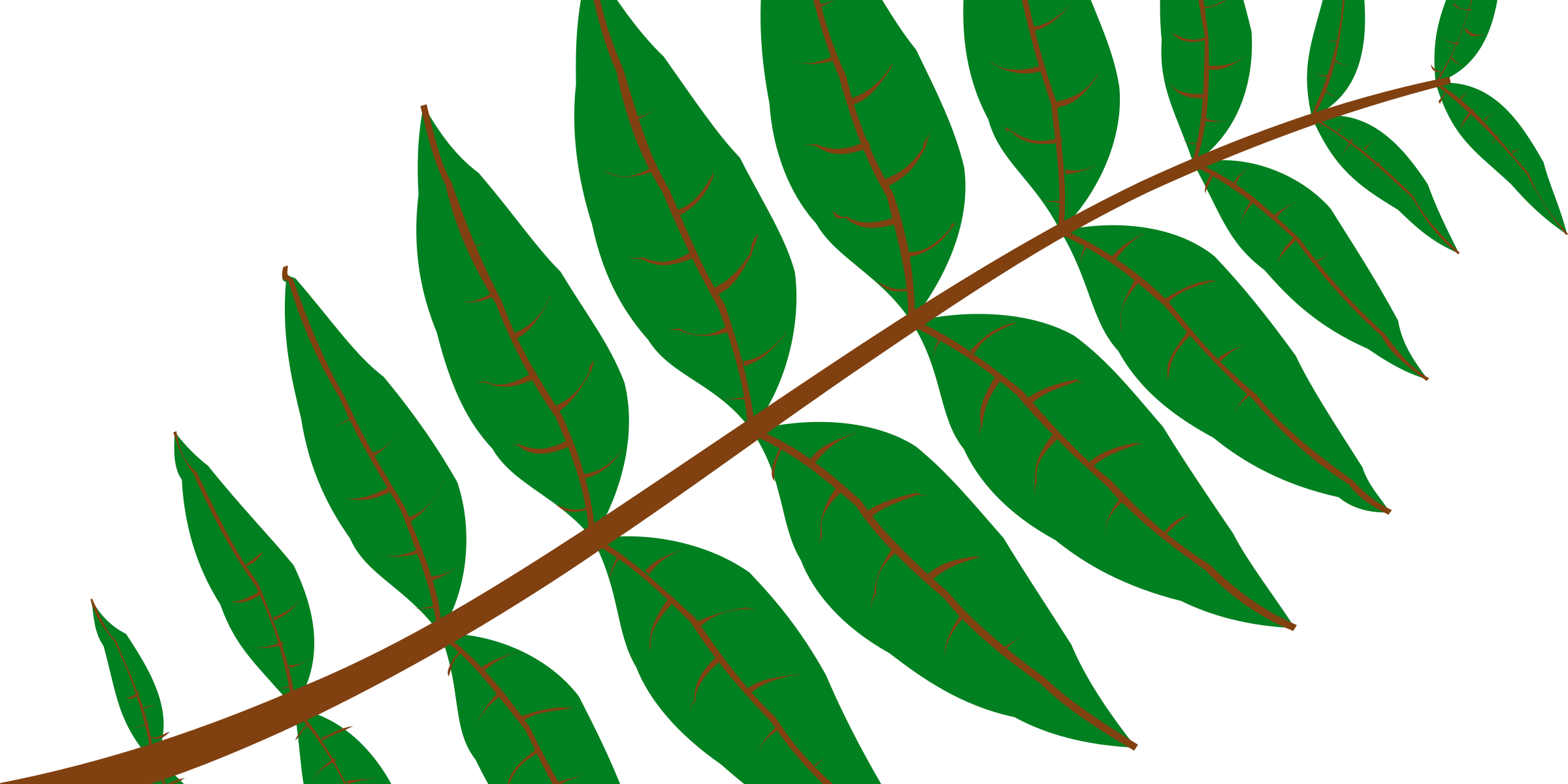 Pinnation Leaf Drawing Computer Icons - Leaf Clip Art (680x340), Png Download