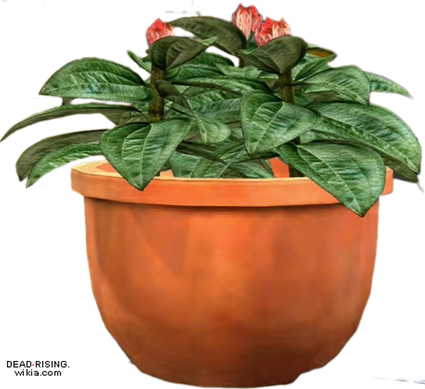 Dead Rising Potted Plant - Potted Plants Transparent Png (607x555), Png Download