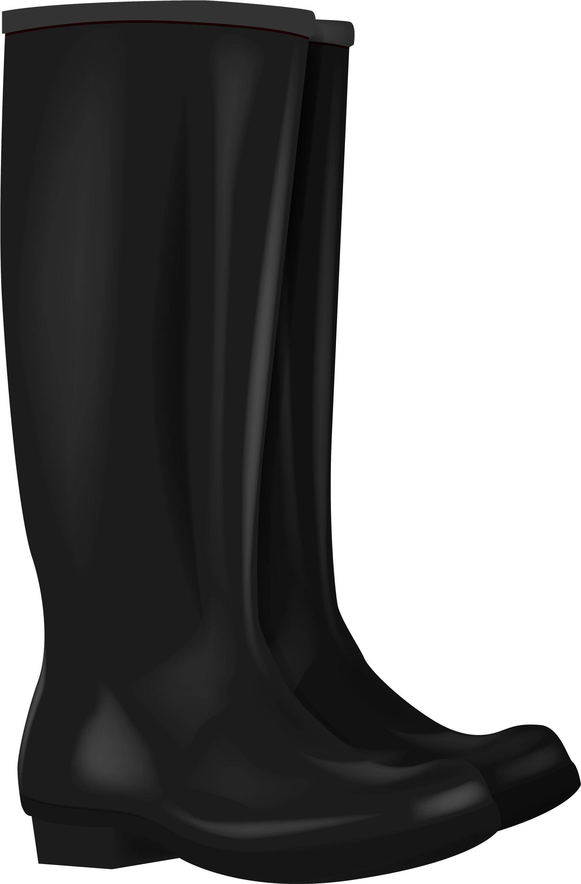 Cowboy Boot Pictures Ofwboy Hats - Boot (1971x3000), Png Download