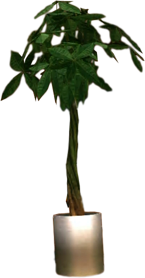 Dead Rising Potted Plant - Potted Plant Png Transparent Background (318x565), Png Download