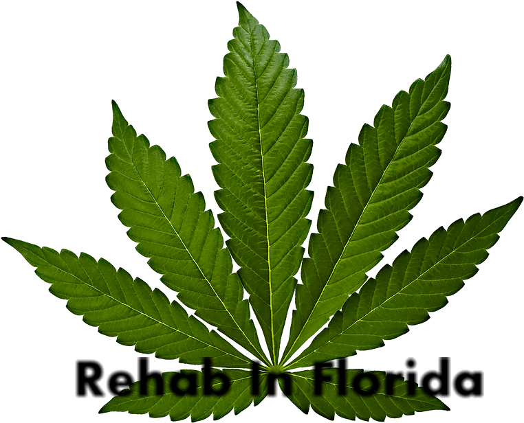 Rehab For Marijuana Abuse - Cannabis Leaf (900x900), Png Download