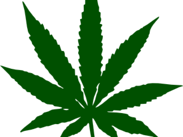 Drawn Pot Plant Transparent - Weed Leaf Transparent Background (640x480), Png Download