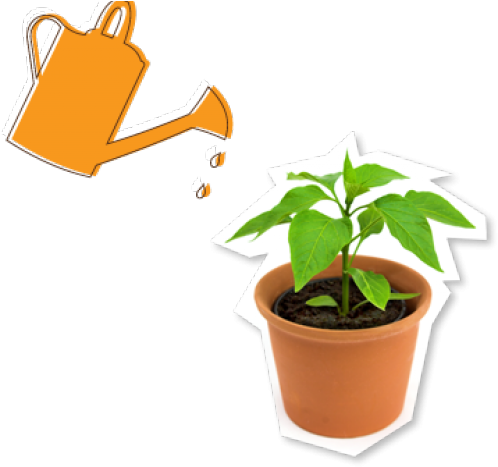 Potted Plants Free On Dumielauxepices Net - Watering Potted Plant (640x480), Png Download
