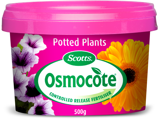 Osmocote® Potted Plants - Osmocote Fruit, Citrus, Trees & Shrubs Fertiliser (556x531), Png Download