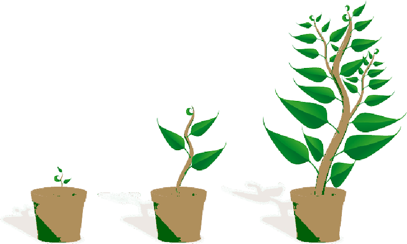Mb Image/png - Getting To Know Plants (800x481), Png Download