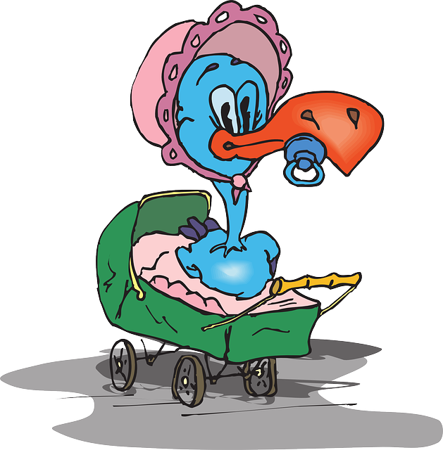 Baby, Cartoon, Bird, Bonnet, Pacifier, Carriage - Baby Bird With Pacifier (629x640), Png Download