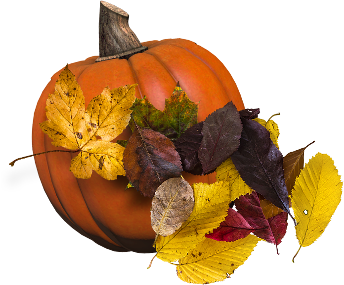 Give Thanks Ll2 - Jack-o'-lantern (735x637), Png Download