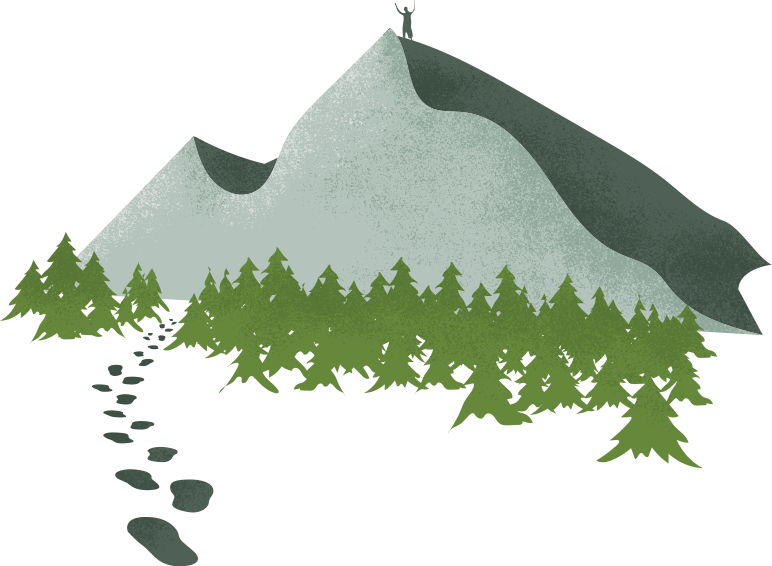 Brief Action Planning Training - Christmas Tree (772x566), Png Download