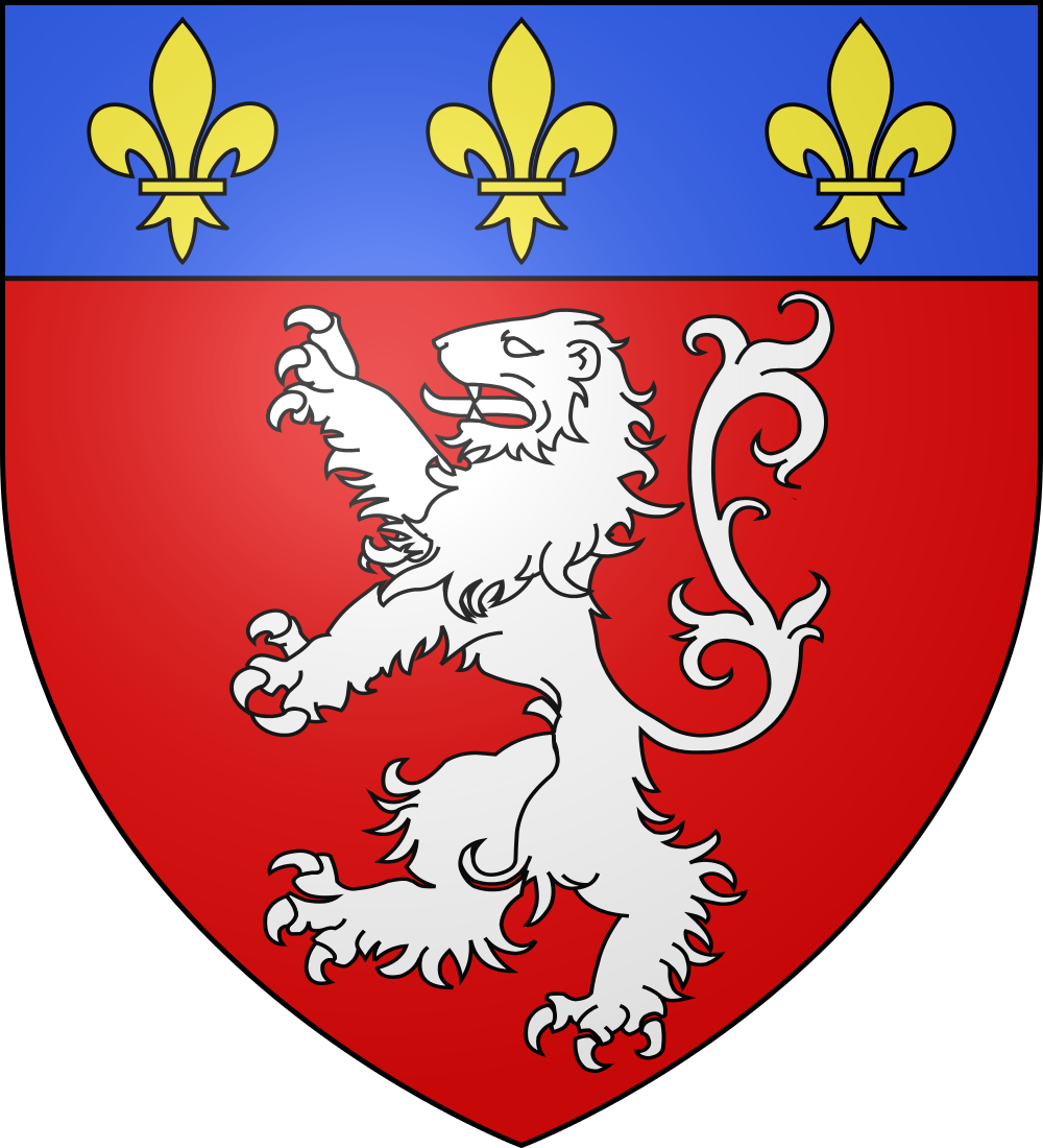 Blason Ville Fr Lyon - Lyon France Coat Of Arms (1000x1100), Png Download