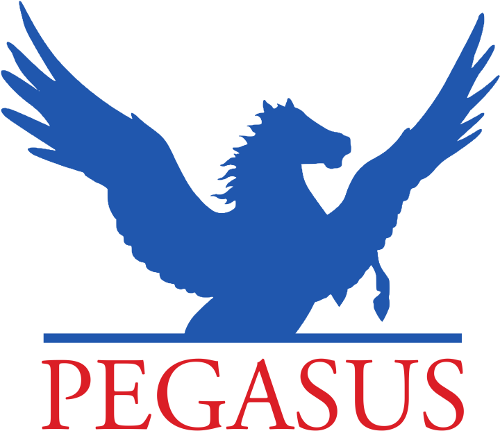 Horse Riding Pegasus Act Open Day - Pegasus Communications (750x658), Png Download
