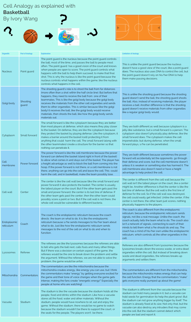 Infographic (750x1265), Png Download