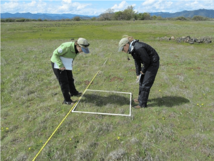 Iae Staff Monitoring Plant Community On Lower Table (811x678), Png Download